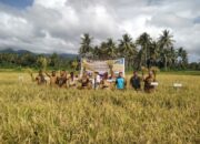 Distan Minta Petani Jangan Konversi Lahan Sawah