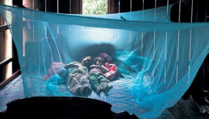 Obat Malaria Bisa Digunakan di Kelambu