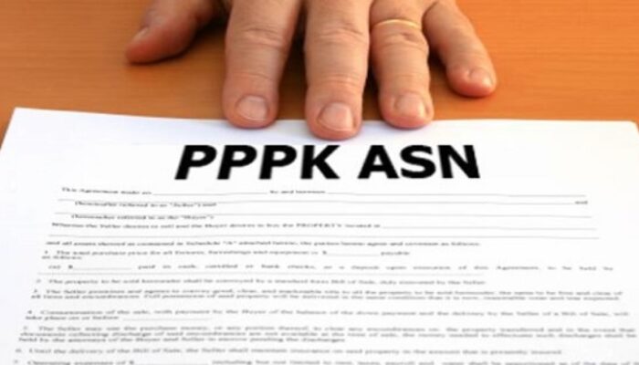 BPKAD: Status P3K Haltim Banyak Bermasalah