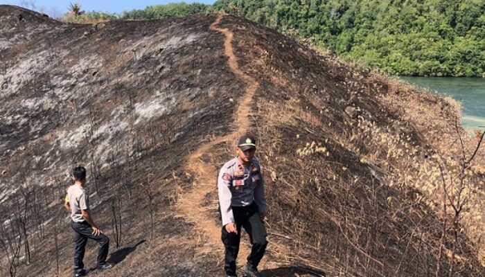Puntung Rokok Hanguskan Wisata Pulau Sosota