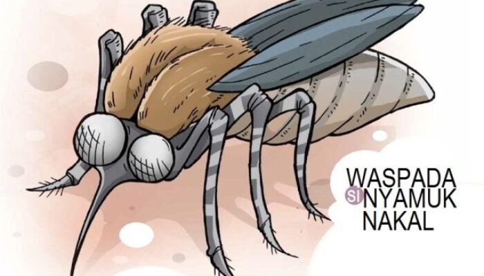 530 Kasus, 5 Meninggal Dunia, Penyebabnya Aedes Agepty