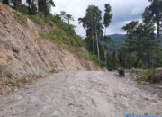 Kritik Proyek Jalan di Dapil, Asdian Malah Dilaporkan ke DPP