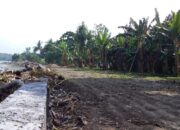 Warga Pesisir Desa Lalonga Tolak Proyek Jalan