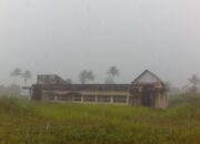 Ironi Gedung BLK Halbar: Ditutupi Rumput hingga Meteran Listrik Dicabut