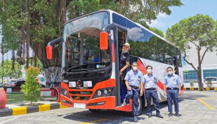 Bukan Kerbau