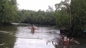 Basarnas Susuri Kali Taolas Cari Korban Serangan Buaya