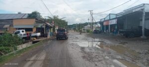 Minta Pemda Perbaiki Jalan Rusak di Desa Nurweda