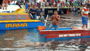 Mayat Seorang Pria Ditemukan Mengapung di Perairan Ternate-Tidore