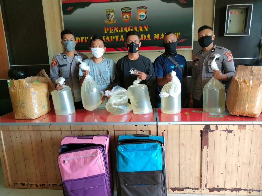 Captikus Tanpa Pemilik Diamankan di Atas KM Labobar
