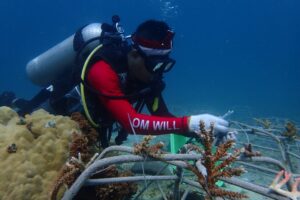 Terumbu Karang Perlu Dijaga