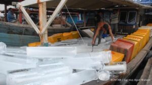 Pemdes Nursifa Dorong Industri Perikanan Berbasis Desa
