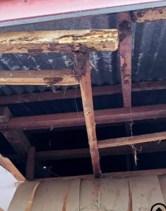 Sudah 59 Tahun Kantor Lurah Kulaba Tak Pernah Direnovasi