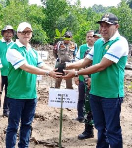 Harita Nickel dan Unkhair Dukung Upaya Rehabilitasi Hutan Mangrove di Halsel