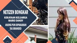 VIDEO : Netizen Bongkar Kekayaan Keluarga Mario Dandy, Anjing Pun Dipakaikan Tas Branded