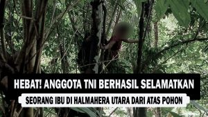 VIDEO : Hebat! Anggota TNI Berhasil Selamatkan Seorang Ibu Di Halmahera Utara Dari Atas Pohon