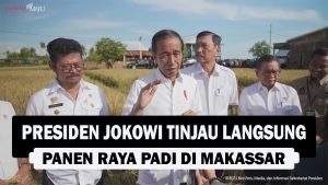 VIDEO : Presiden Jokowi Tinjau Langsung Panen Raya Padi di Makassar