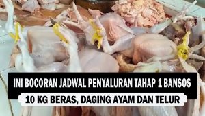 VIDEO : Ini Bocoran Jadwal Penyaluran Tahap 1 Bansos 10 Kg Beras, Daging Ayam dan Telur