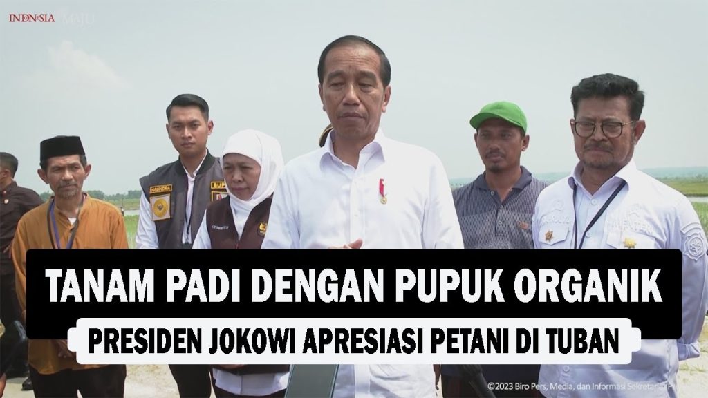 VIDEO : Tanam Padi dengan Pupuk Organik, Presiden Jokowi Apresiasi Petani di Tuban