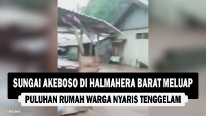 VIDEO : Sungai Akeboso di Halmahera Barat Meluap, Puluhan Rumah Warga Nyaris Tenggelam