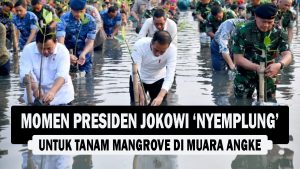 VIDEO : Momen Presiden Jokowi ‘Nyemplung’ untuk Tanam Mangrove di Muara Angke