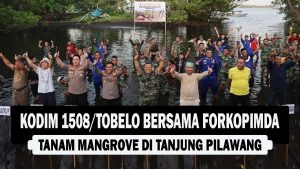 VIDEO : Kodim 1508/Tobelo Bersama Forkopimda, Tanam Mangrove di Tanjung Pilawang