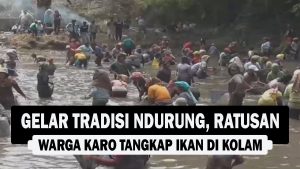 VIDEO : Gelar Tradisi Ndurung, Ratusan Warga Karo Tangkap Ikan di Kolam