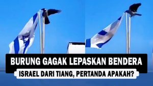 VIDEO : Burung Gagak Lepaskan Bendera Israel dari Tiang, Pertanda Apakah?