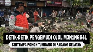 VIDEO : Detik-detik Pengemudi Ojol M3n1ngg4l T3rt1mp4 Pohon Tumbang di Padang Selatan