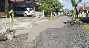 Kesal Jalan Pelabuhan Kontener Tak Diperbaiki, Warga Rawajaya Nekat Tanam Pisang