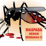 Ilustrasi nyamuk Aedes Aegypti