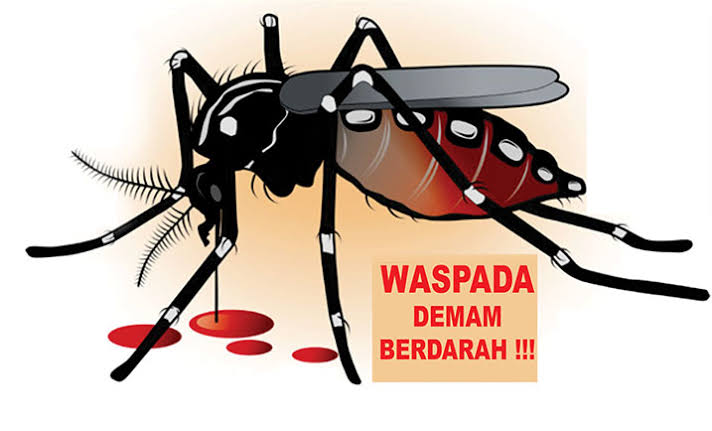 Ilustrasi nyamuk Aedes Aegypti