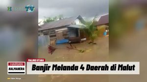 VIDEO : Banjir Melanda 4 Daerah di Malut, BMKG Prediksi Masih Akan Hujan