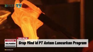 VIDEO : Grup Mind Id PT Antam Luncurkan Program Beasiswa untuk Mahasiswa Haltim