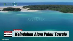 VIDEO : Keindahan Pulau Tawale, Raja Ampat Baru di Halmahera Selatan