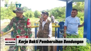 VIDEO : Penuhi Kebutuhan Air Pertanian, Babinsa Koramil Kao Bersama Warga Bersihkan Bendungan