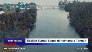 VIDEO :Bisakah Sungai Sagea di Halmahera Tengah Kembali Bersih? Ini Kata Pegiat Geowisata