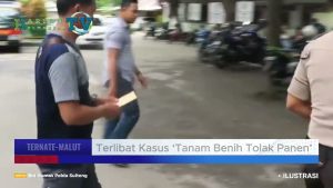 VIDEO : Oknum Pengacara Diadukan ke Polres Hingga Peradi Ternate Soal Kasus ‘Tanam Benih Tolak Panen’