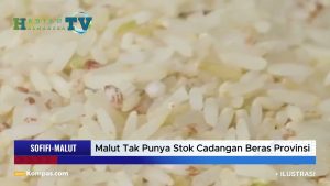 VIDEO : Maluku Utara Tak Punya Stok Cadangan Beras Provinsi, Jokowi Ingatkan Kasus Kelaparan di Papua