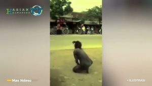 VIDEO : Diduga Sering Lecehkan Perempuan, ODGJ Resahkan Warga Dama