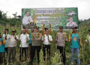 Pj Bupati Halteng Resmikan Desa Fagogoru Hingga Panen Jagung