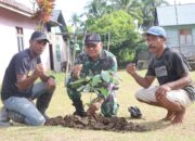 Lestarikan Alam, Satgas TMMD ke-120 Kodim 1508/Tobelo Tanam Ratusan Bibit Pohon