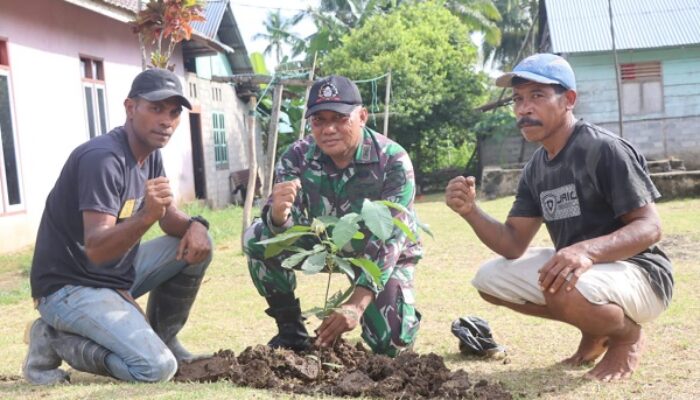 Lestarikan Alam, Satgas TMMD ke-120 Kodim 1508/Tobelo Tanam Ratusan Bibit Pohon