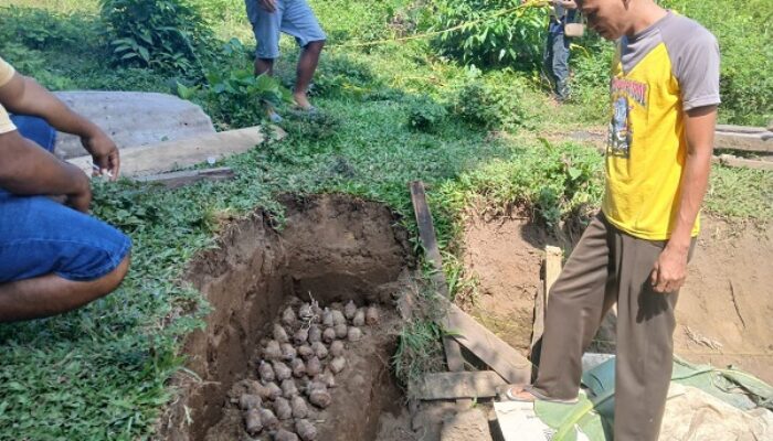 Warga Galela Temukan Puluhan Bom Hingga Amunisi Peninggalan Perang Dunia II