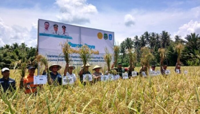 Kolaborasi Masa Depan Pertanian: NHM dan Petani Kao Barat Menuju Kemandirian Pangan