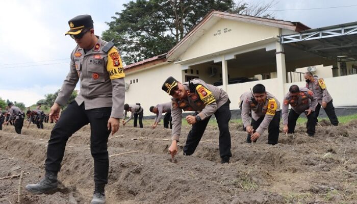 Dukung Program 100 Hari Kerja Prabowo-Gibran, Polres Halut Buka Lahan Ketahanan Pangan