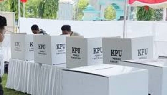 Hasil Penghitungan Tingkat TPS Pilkada Halut 2024, Cabup Muchlis Kalah Dikandang