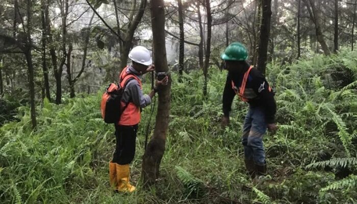 Menjaga Warisan Alam Obi: Harita Nickel Lestarikan Flora dan Fauna Endemik lewat Pemantauan dan Edukasi Karyawan
