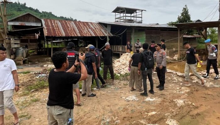 Polres Halsel Tetapkan Dua Orang Tersangka PETI