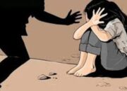 Dua Pria di Halut Diduga Cabuli Anak Dibawah Umur, Hasil Visum Dokter Ternyata Begini
