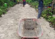 Bermodal Linggis Hingga Cangkul, Masyarakat Umiyal Bangun Jalan